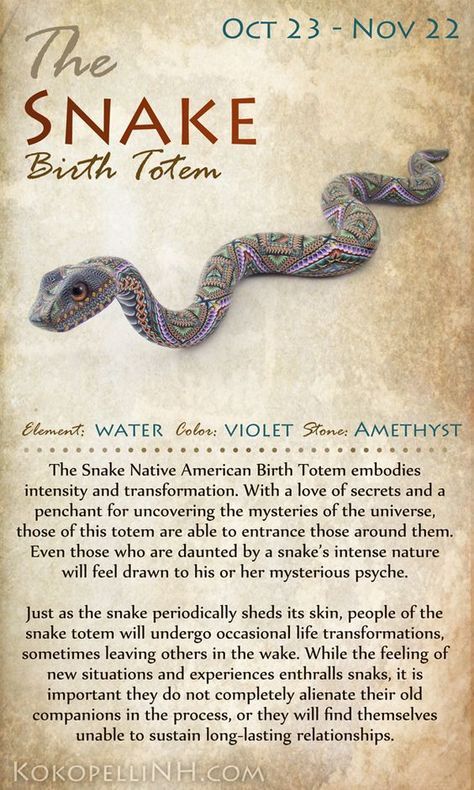 Native American Animal Symbols Of The Zodiac Native American Animal Symbols, Snake Totem, Animal Totem Spirit Guides, Snake Spirit Animal, Native American Beliefs, Native American Zodiac, Native American Animals, Spirit Animal Meaning, Native American Totem