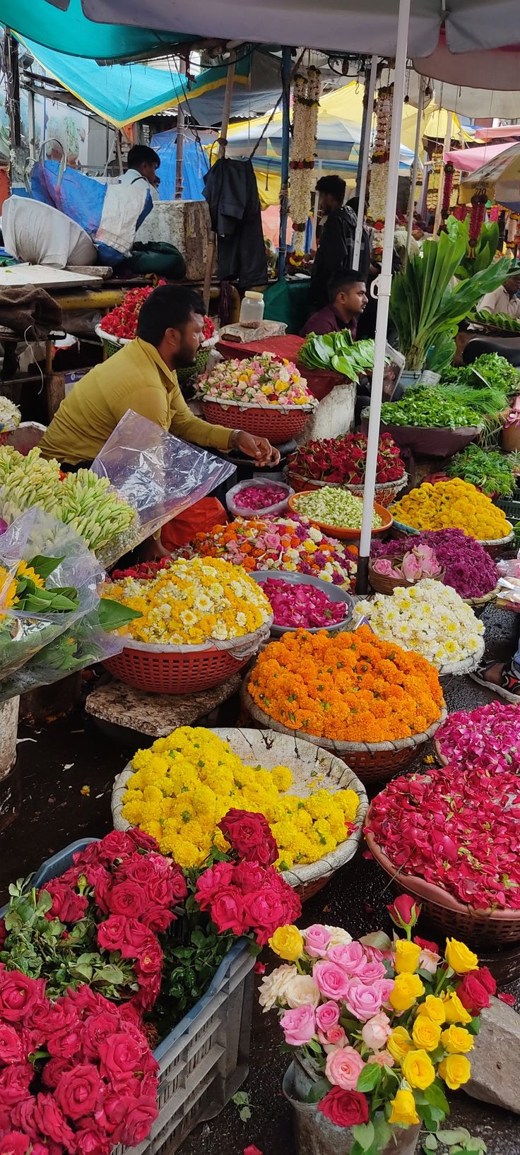 many different kinds of flowers on display under umbrellas at an open air market area