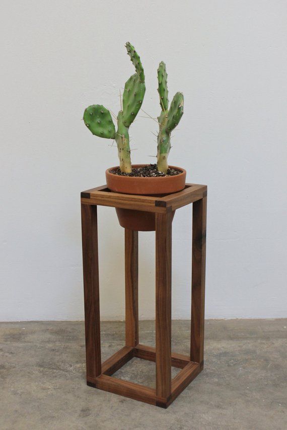 a small potted cactus sitting on top of a wooden stand