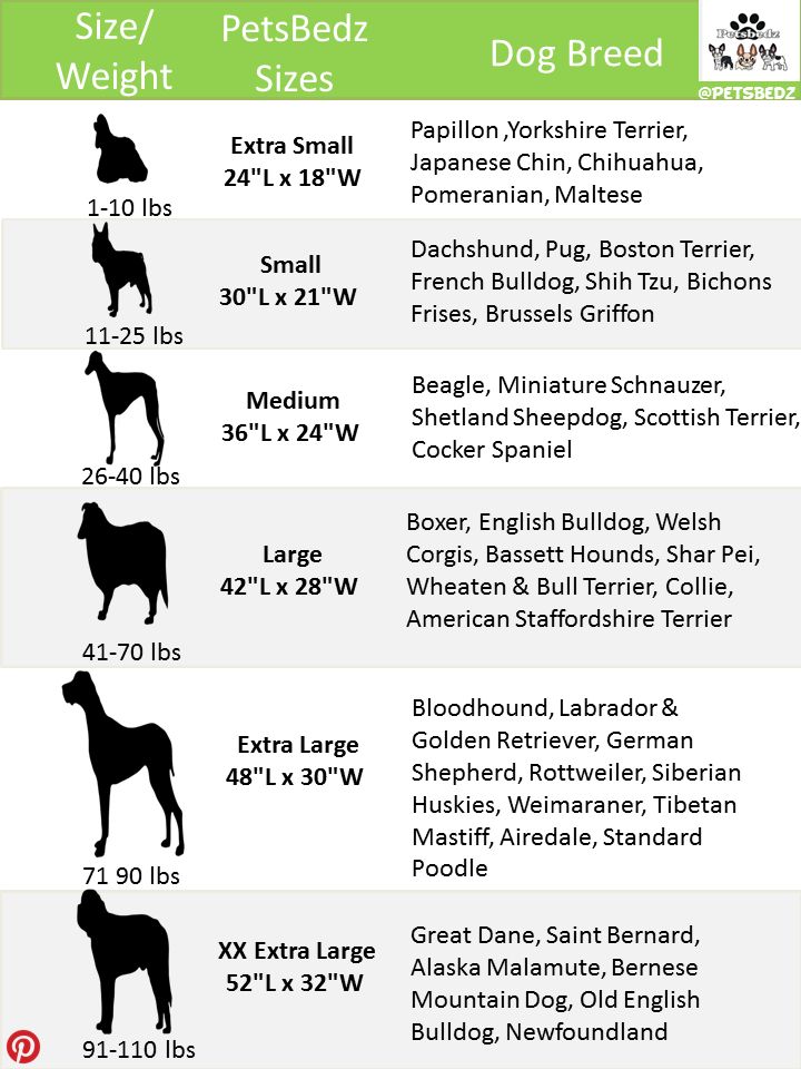 the size and weight chart for dogs that are available in different sizes, colors, and shapes