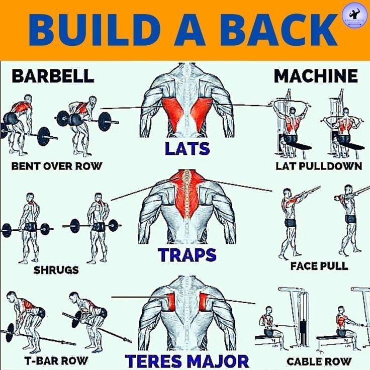 a poster with instructions on how to build a back