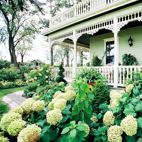 a white house with lots of green plants in the front yard