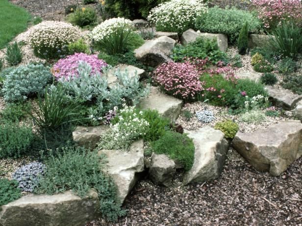 a rock garden is shown with flowers and rocks in the foreground, along with text that reads how to start a rock garden read here