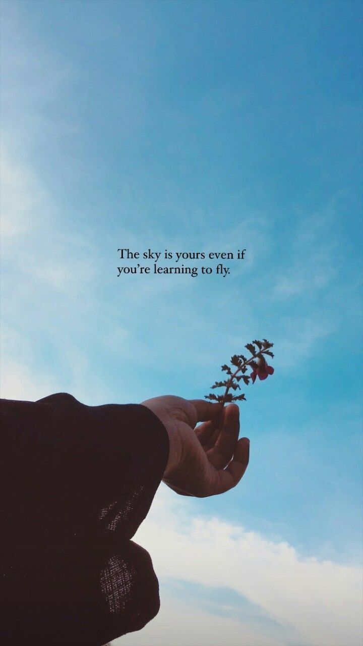 the sky is blue and there is a person holding a flower in their hand with a quote above it