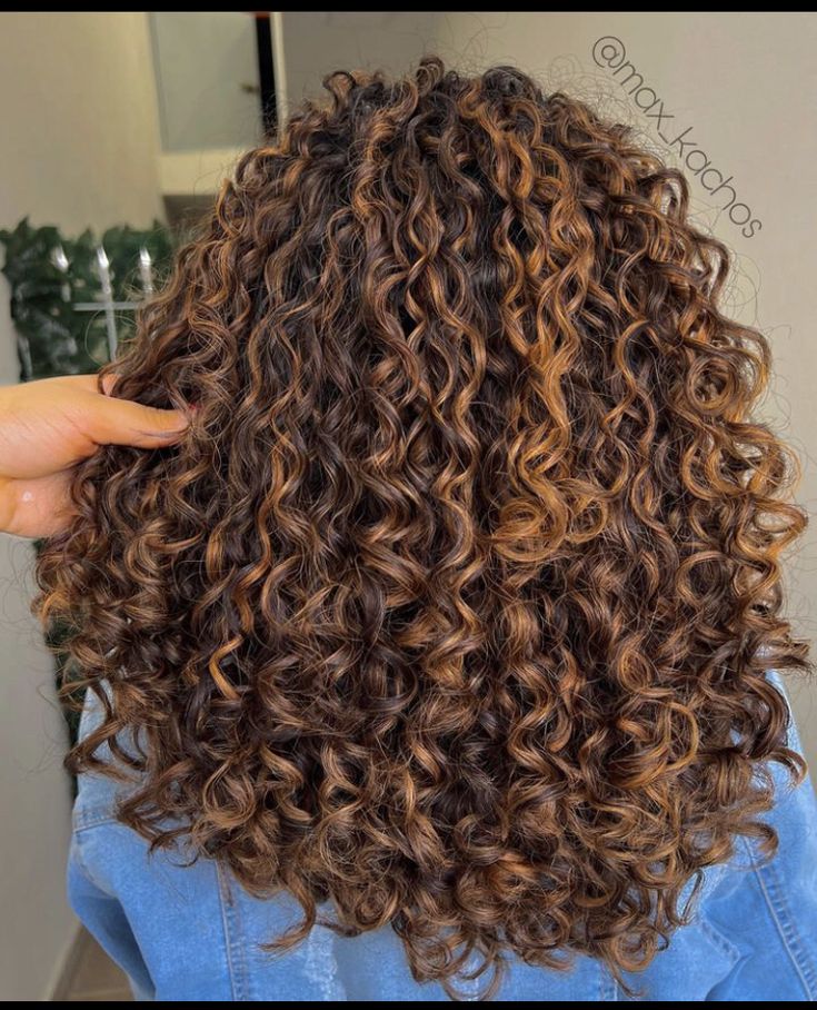 Brown Highlights In Curly Hair, Curly Golden Highlights, Curly Brown Hair With Light Brown Highlights, Red Pintura Highlights Curly, Dark Brown Hair With Highlights Curly Natural, Cooper Highlights Curly Hair, Caramel Highlights On Curly Brown Hair, Carmel Curly Highlights, Carmel Highlights On Brown Hair Curly Hair