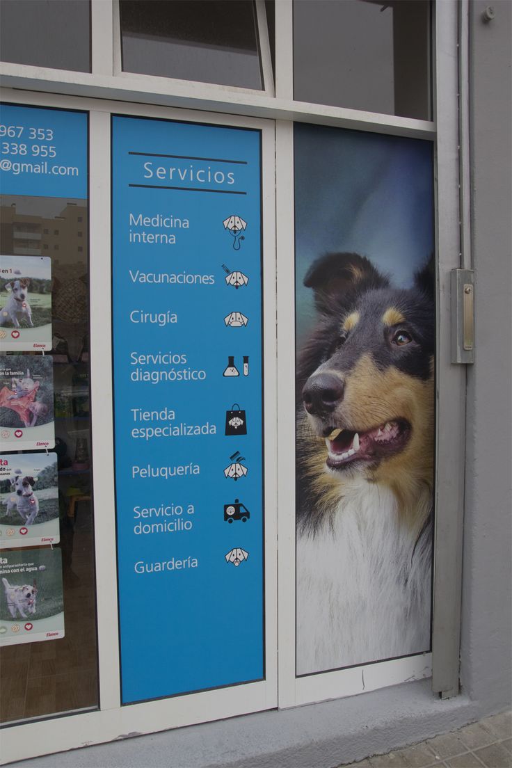 a dog's face is shown in the window of a pet store that sells dogs