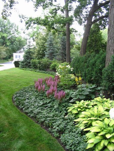 a garden with green grass and purple flowers