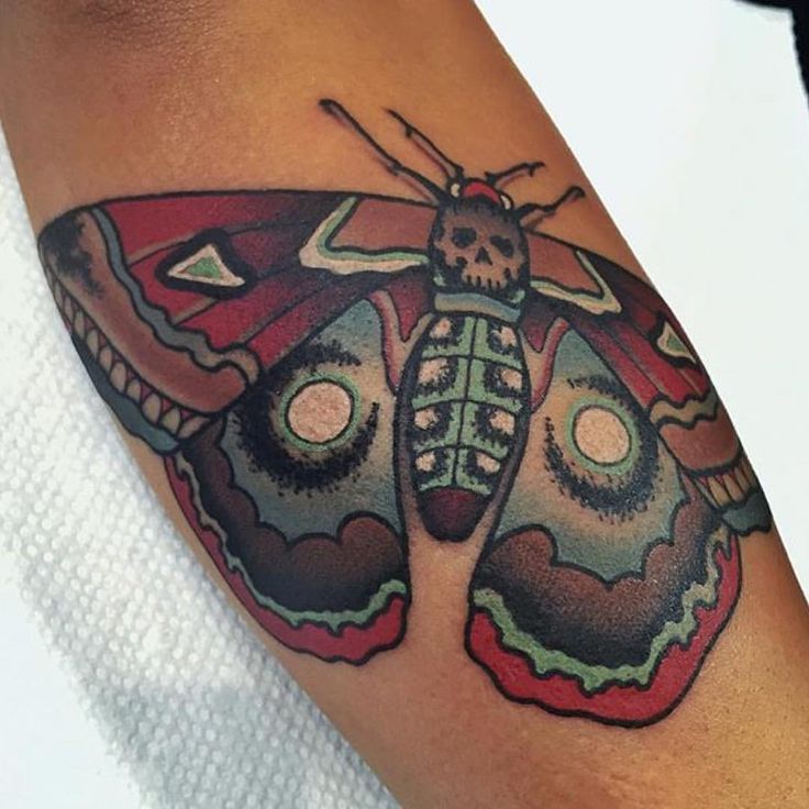 a butterfly tattoo on someone's arm with an explore message above it