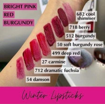 House Of Colour Winter Lipstick, House Of Colour Winter Makeup, Burnished Winter House Of Colour, House Of Colour Winter Hair Color, True Winter Lipstick, House Of Colour Winter, Burnished Winter, Winter Pallet, Sultry Winter