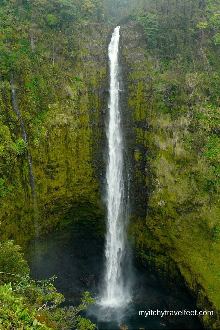 a large waterfall in the middle of a lush green forest