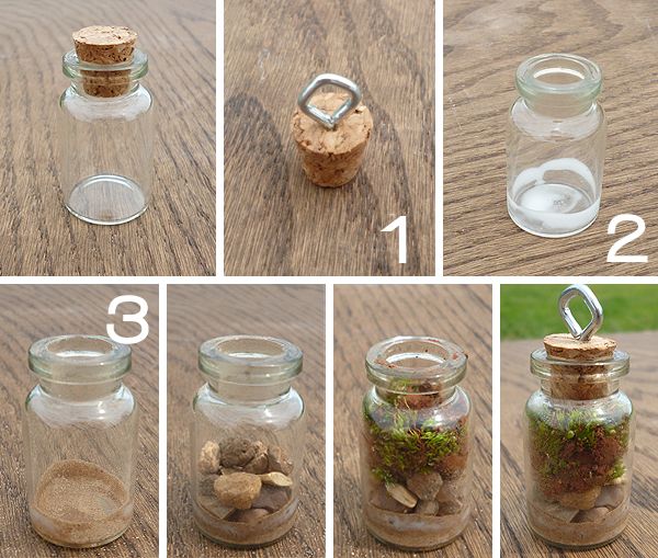 the steps to make a terrarium in a glass jar with rocks and sand inside