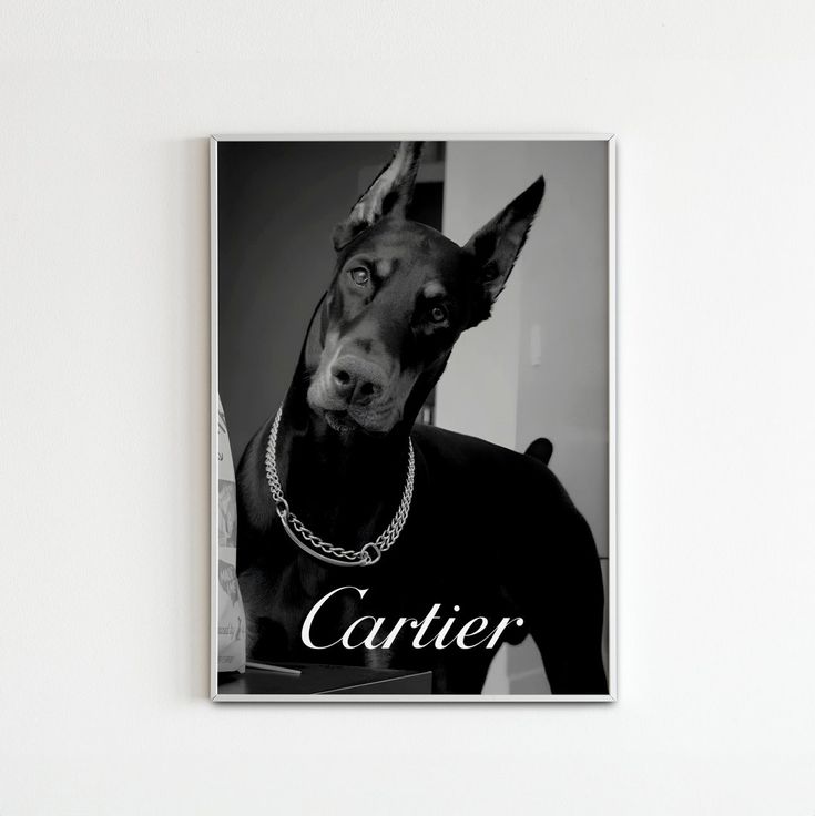 a black and white photo of a doberman with the word catter on it