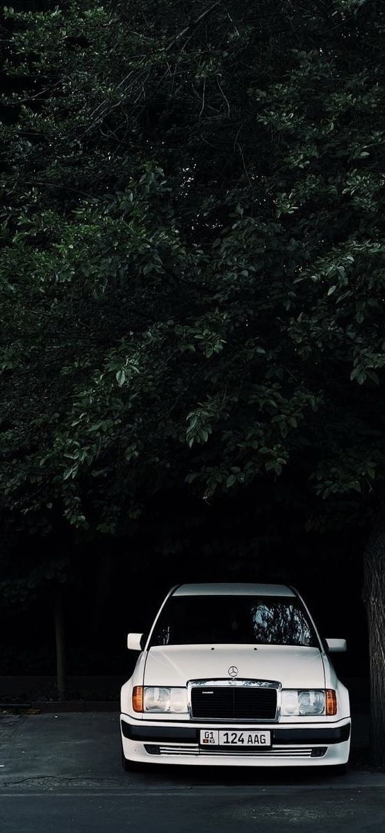 a white car parked next to a tree