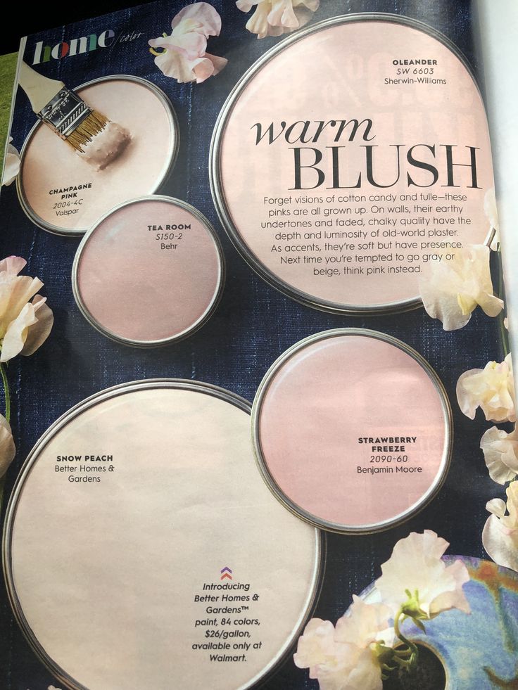 an article in a magazine with flowers and brushes on the back of each one's face