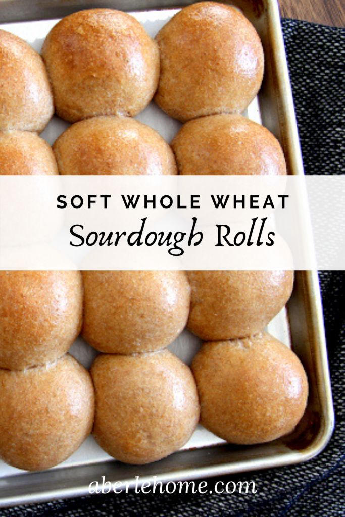 soft whole wheat sourdough rolls in a baking pan with the words, soft whole wheat sourdough rolls