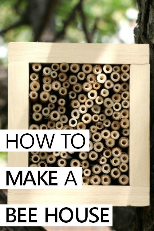 a bee house built into a tree with the words how to make a bee house