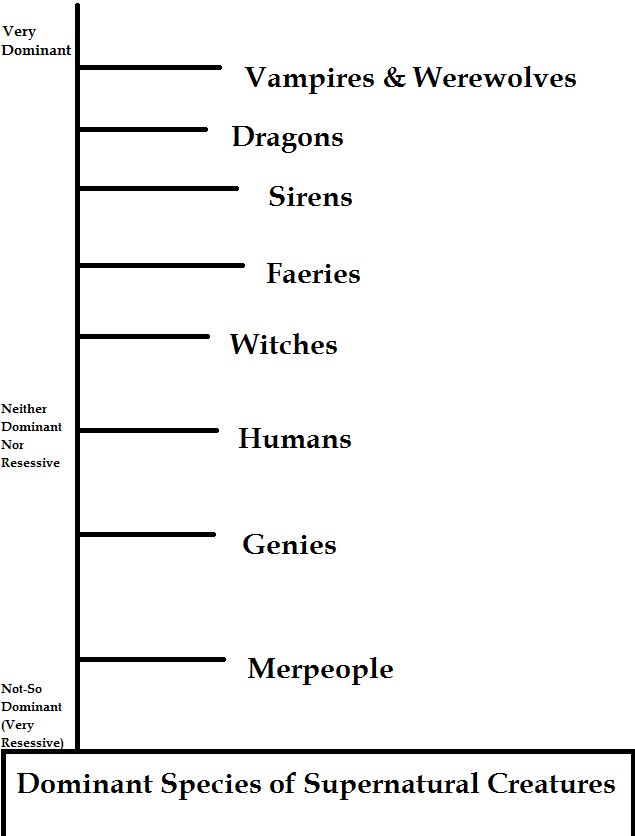 a diagram showing the different types of witches