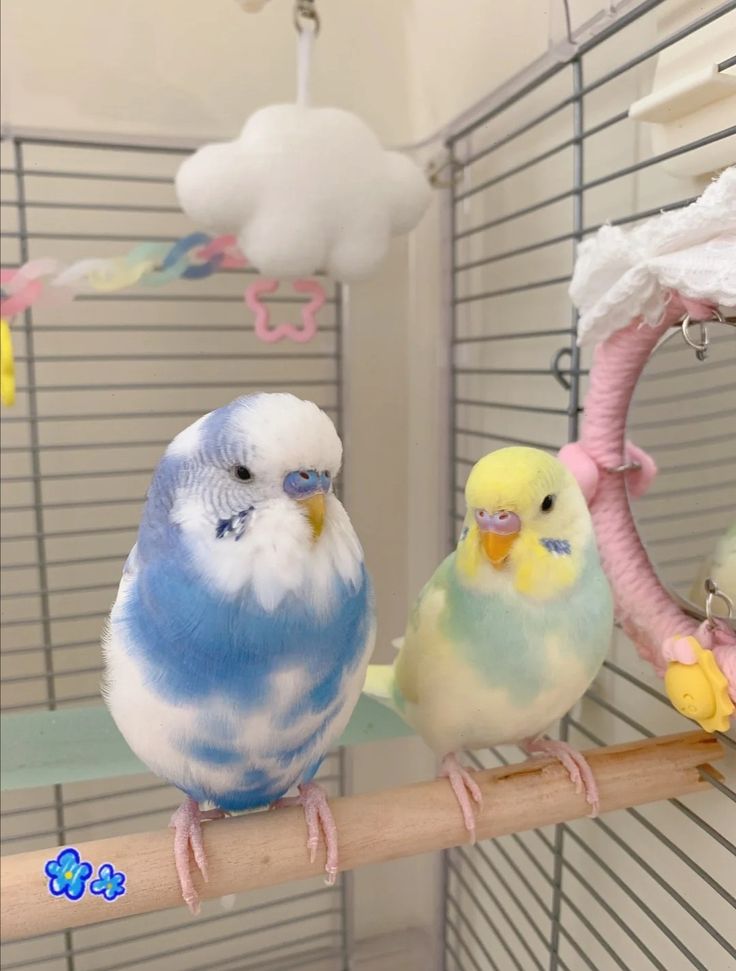 two parakeets are sitting on a perch in a cage, one is blue and the other is yellow