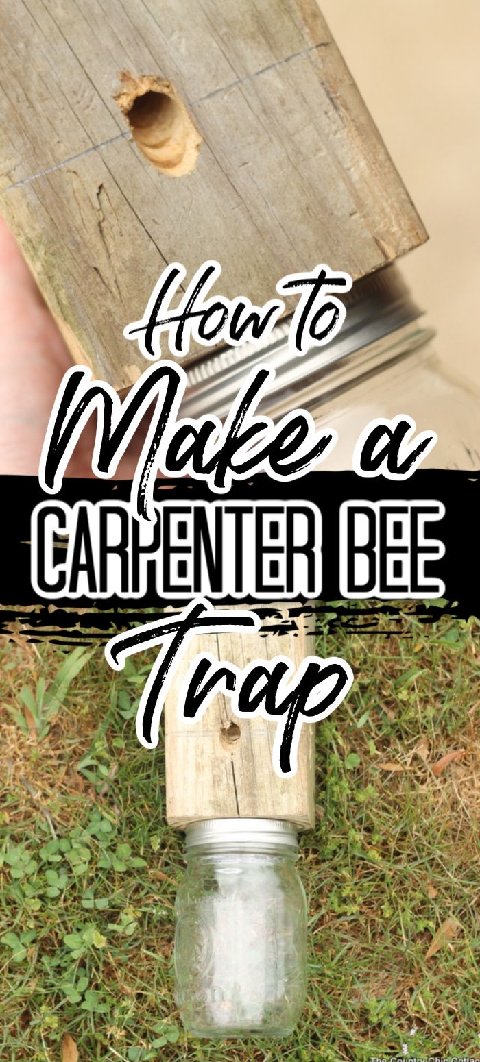 a hand holding a jar with the words how to make a carpenter's bee trap