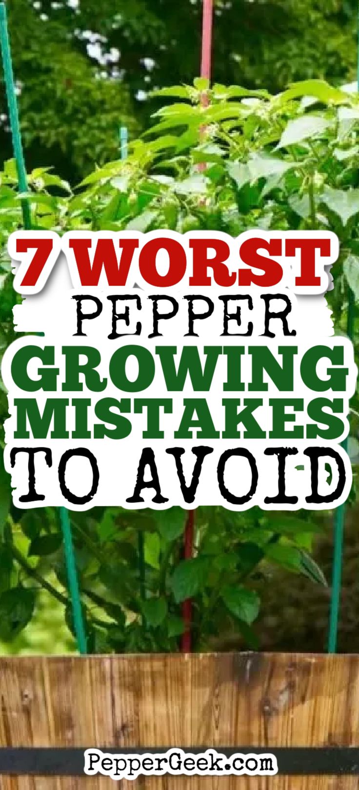 the words 7 worst pepper growing misstakes to avoid on top of a wooden box