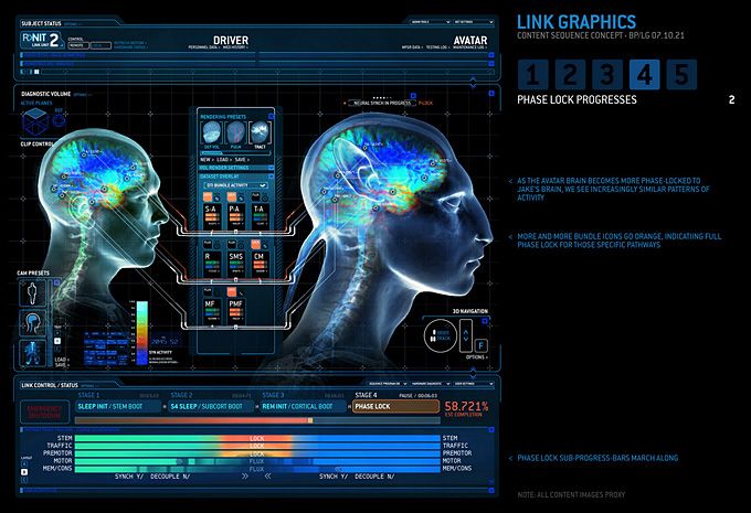 a computer screen showing two heads with different functions in the brain and head, one is blue