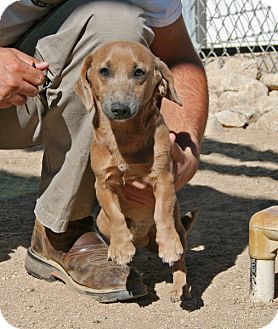 a man kneeling down with a dog in his lap