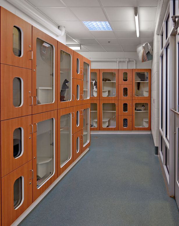 an empty room with lots of wooden lockers and shelves filled with boxes on the wall