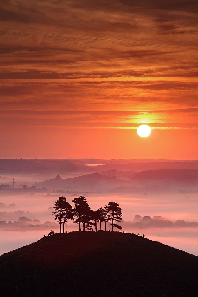 the sun is setting behind some trees on top of a hill with fog in the foreground