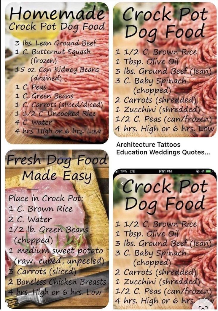 the instructions for how to make homemade crock pot dog food