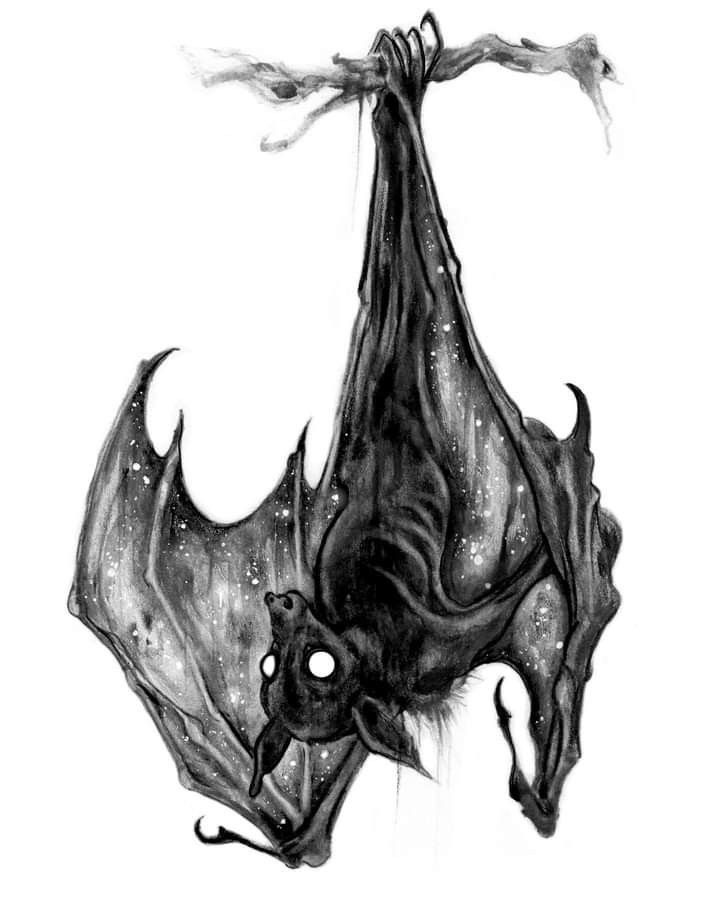 a drawing of a bat hanging upside down