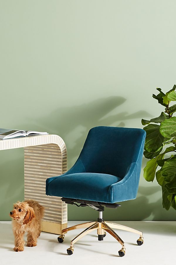 a small dog is standing in front of a desk with a chair and potted plant