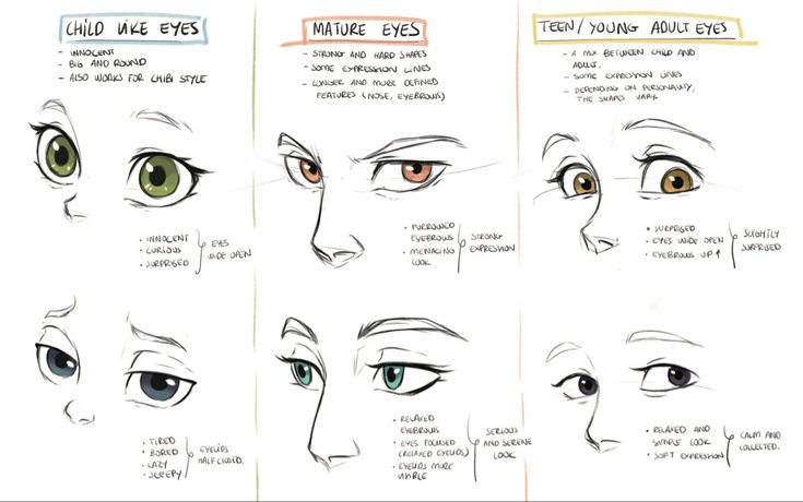 the different types of eyes and how they are used to make them look like they're