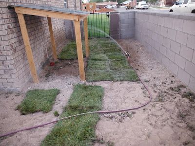 the back yard has grass growing on it