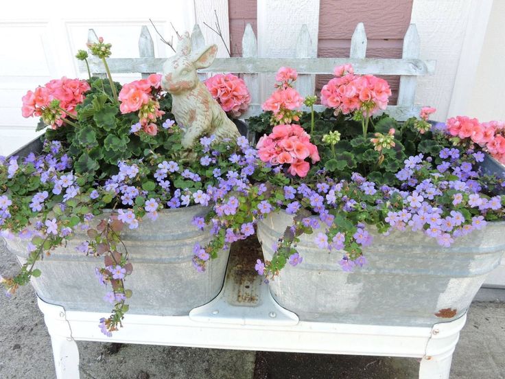 some pink and purple flowers are in a pot on a white bench with a wooden fence behind them