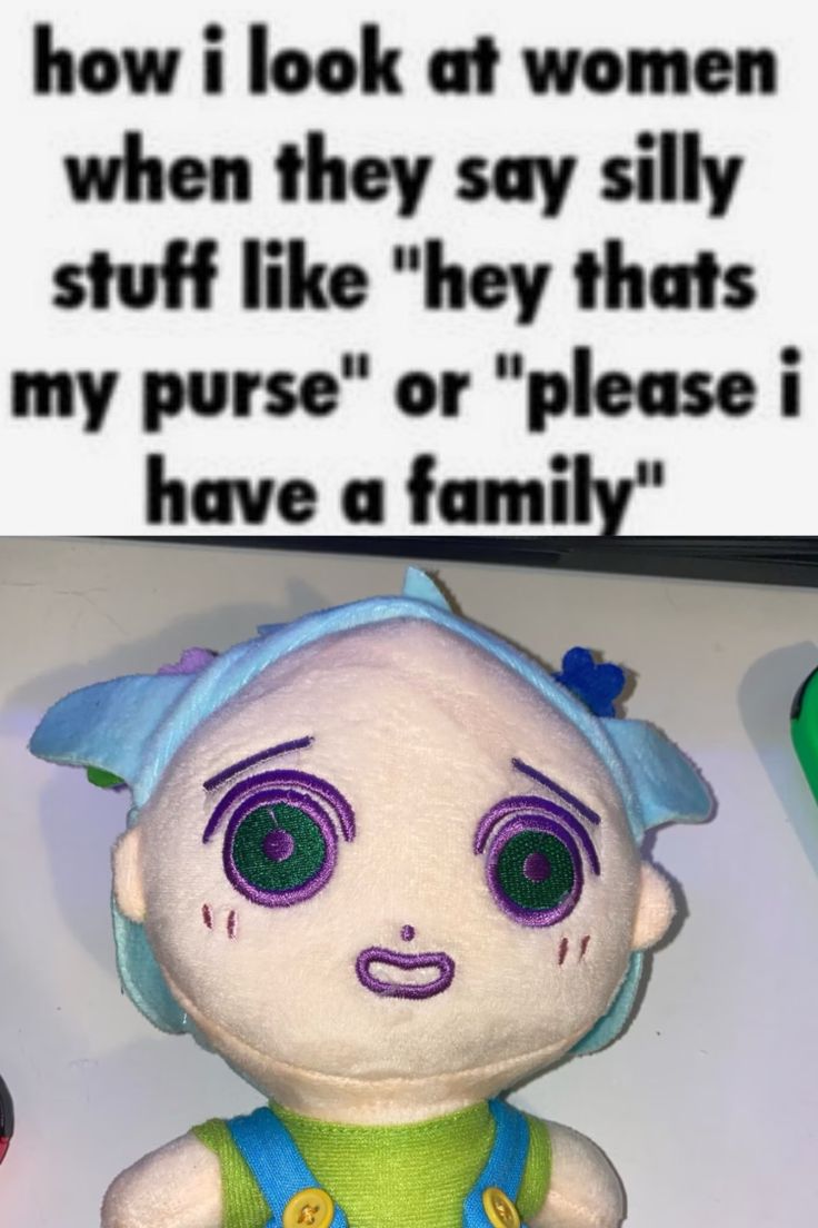 a stuffed toy with a quote on it that says, how i look at women when they say silly stuff