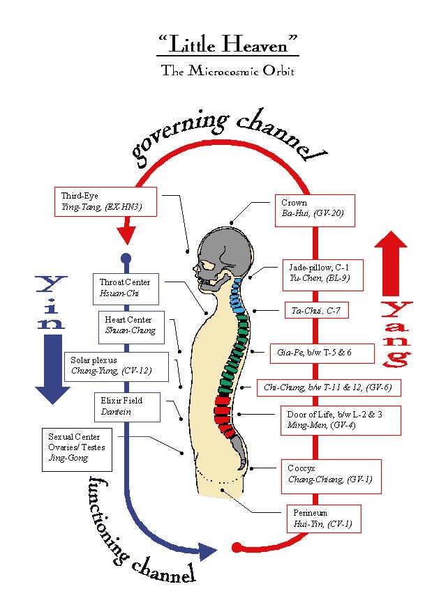 Microcosmic Orbit #taoism #qigong Microcosmic Orbit, Tai Chi Movements, Medical Qigong, Polarity Therapy, Qigong Meditation, Chi Gong, Qigong Exercises, Tai Chi Qigong, Chi Energy