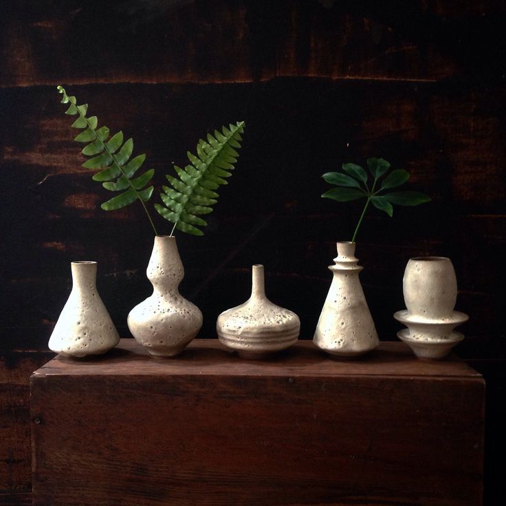 four white vases with green plants in them on a wooden shelf next to a wall