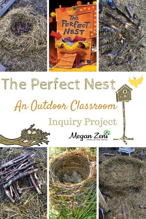 the perfect nest an outdoor classroom injury project