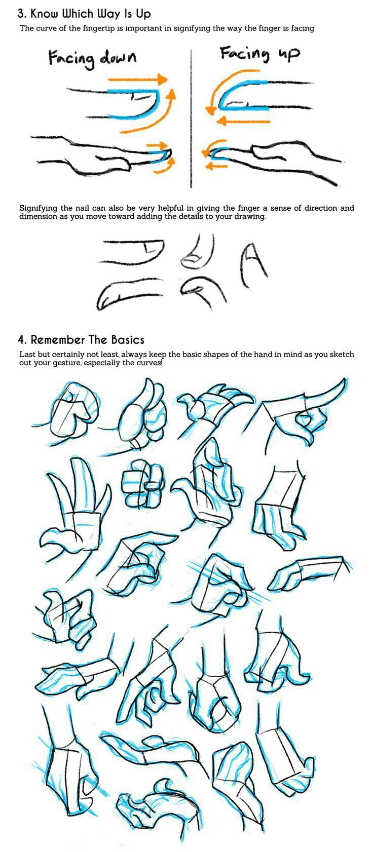 how to draw hands and feet with the help of an artist's pencils