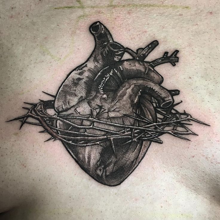 a black and white photo of a heart with barbed wire on it's chest