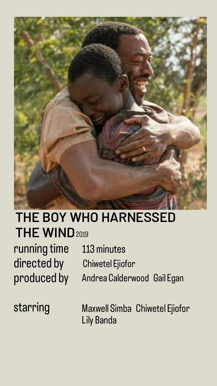 the boy who harnessed poster