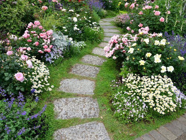 a stone path surrounded by flowers and greenery