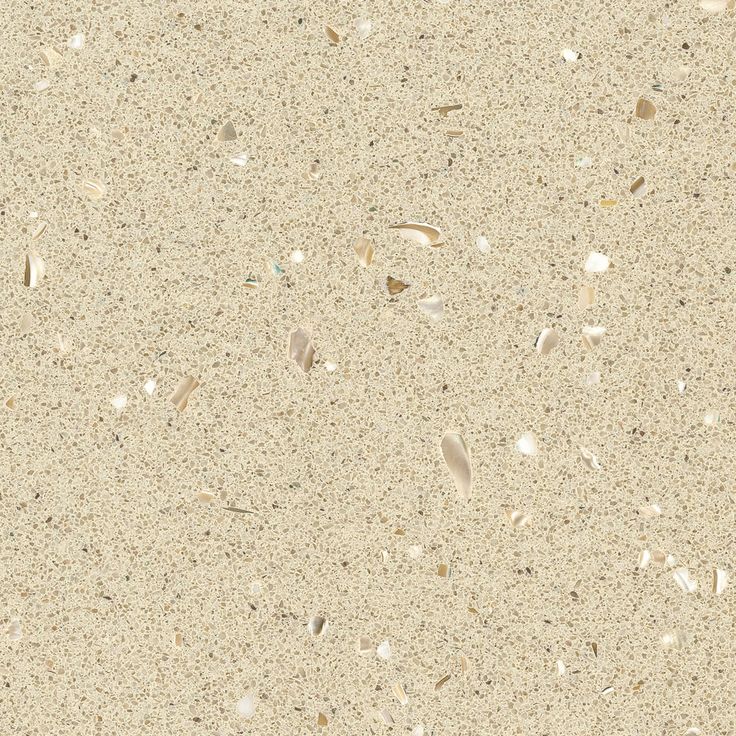 an image of sand textured with small shells