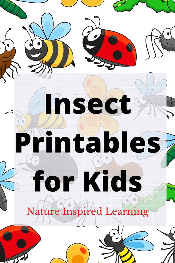 insect printables for kids with the title insect printables for kids nature inspired learning