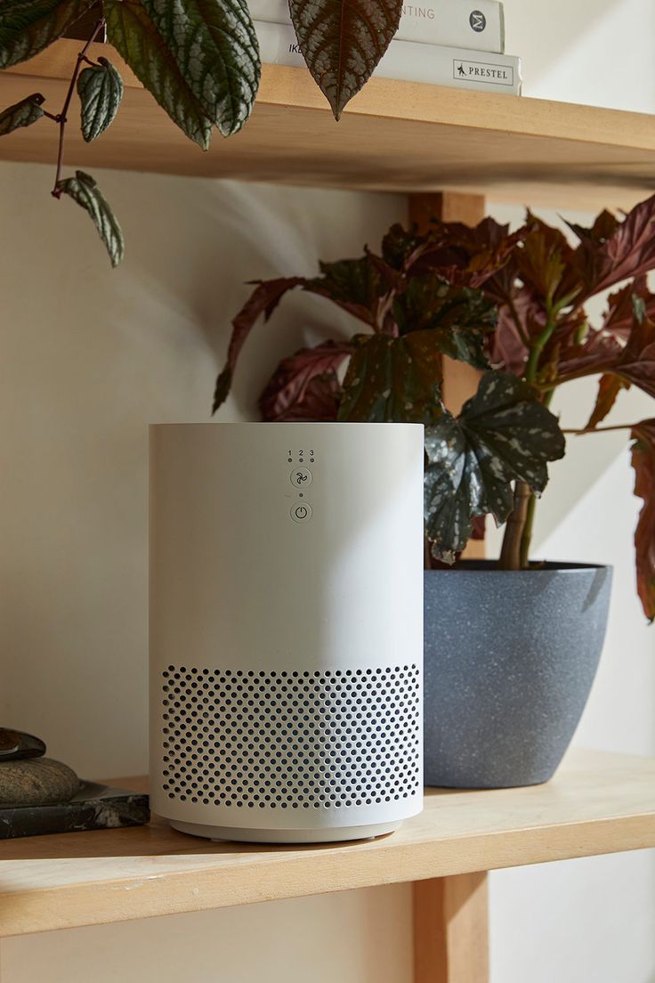 an amazon echo sitting on a shelf next to a potted plant