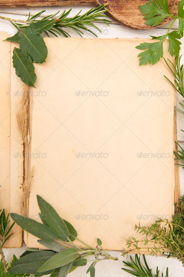 an old book surrounded by greenery on a white background with space for text stock photo