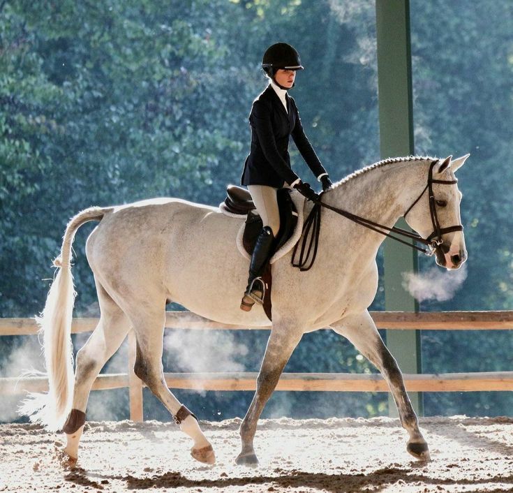 a woman riding on the back of a white horse