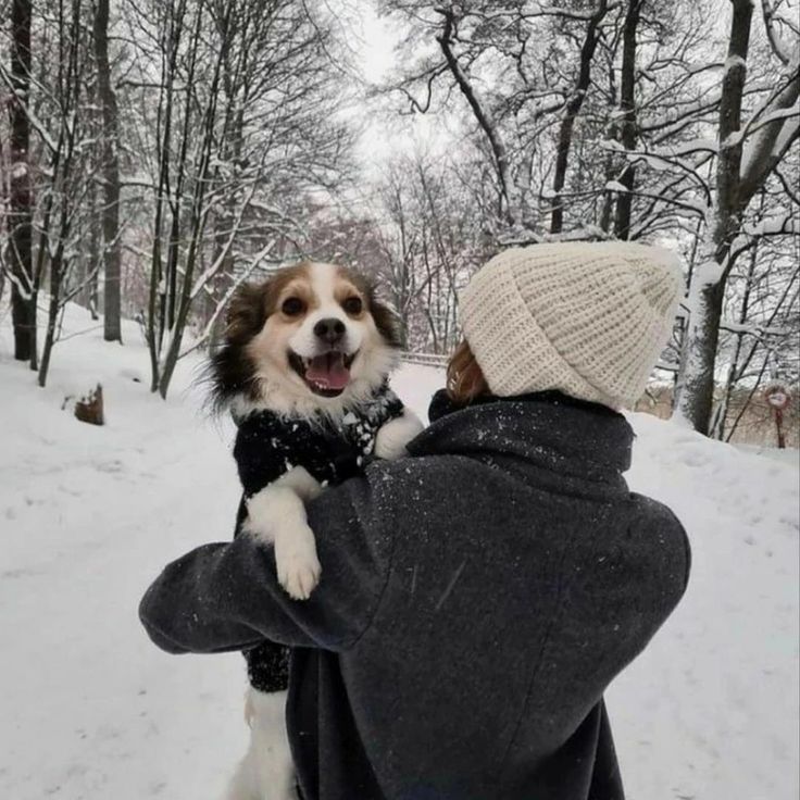 a person holding a dog in their arms while it is snowing through the woods