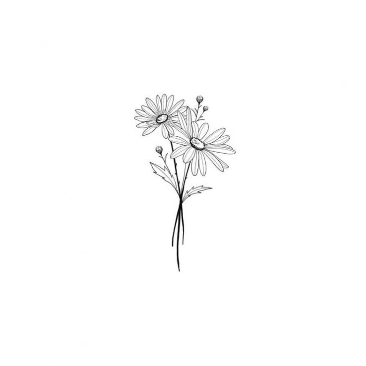 a black and white drawing of some daisies