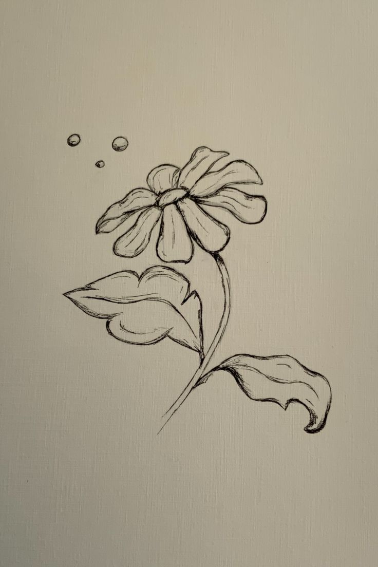 a drawing of a flower with water droplets on it